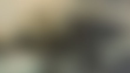 H.H.第三世多杰羌佛中國畫作品:桃花山莊之龍潭湖