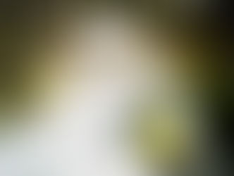 先做一個高貴清華之人,再說轉凡成聖