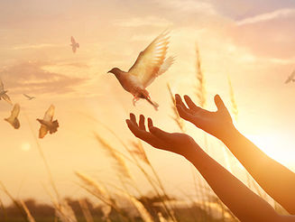 我已找到回家的路 ─「如來正法之門」