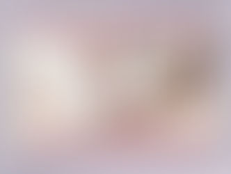 H.H.第三世多杰羌佛中國畫作品:廊上幾枝梅