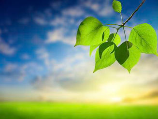 無私利他,最大的酬勞就是自己的修行