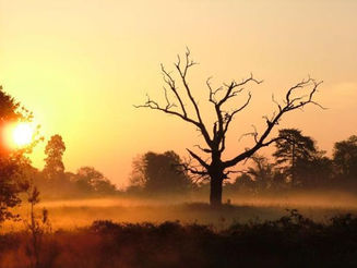 憂鬱不絕對,學佛是關鍵