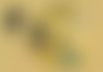 凡走過必留下痕跡