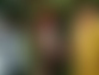 真正佛法的展現 金巴義培珠展現藝術驚人爆發力——跟蹤報導真正佛法的展現