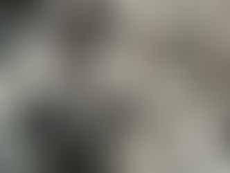 H.H.第三世多杰羌佛中國畫作品:冬粉