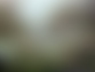 H.H. 第三世多杰羌佛 創始的十六個畫派