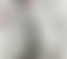 H.H.第三世多杰羌佛作品:《霧裡紅杏》