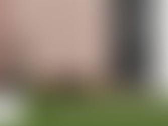 wall paper and wall finishes used to elvate a room in Paarl