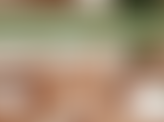 Natural Materials in Interior Design: What Ages Gracefully in Cape Winelands Homes, potted plant next to a shelf