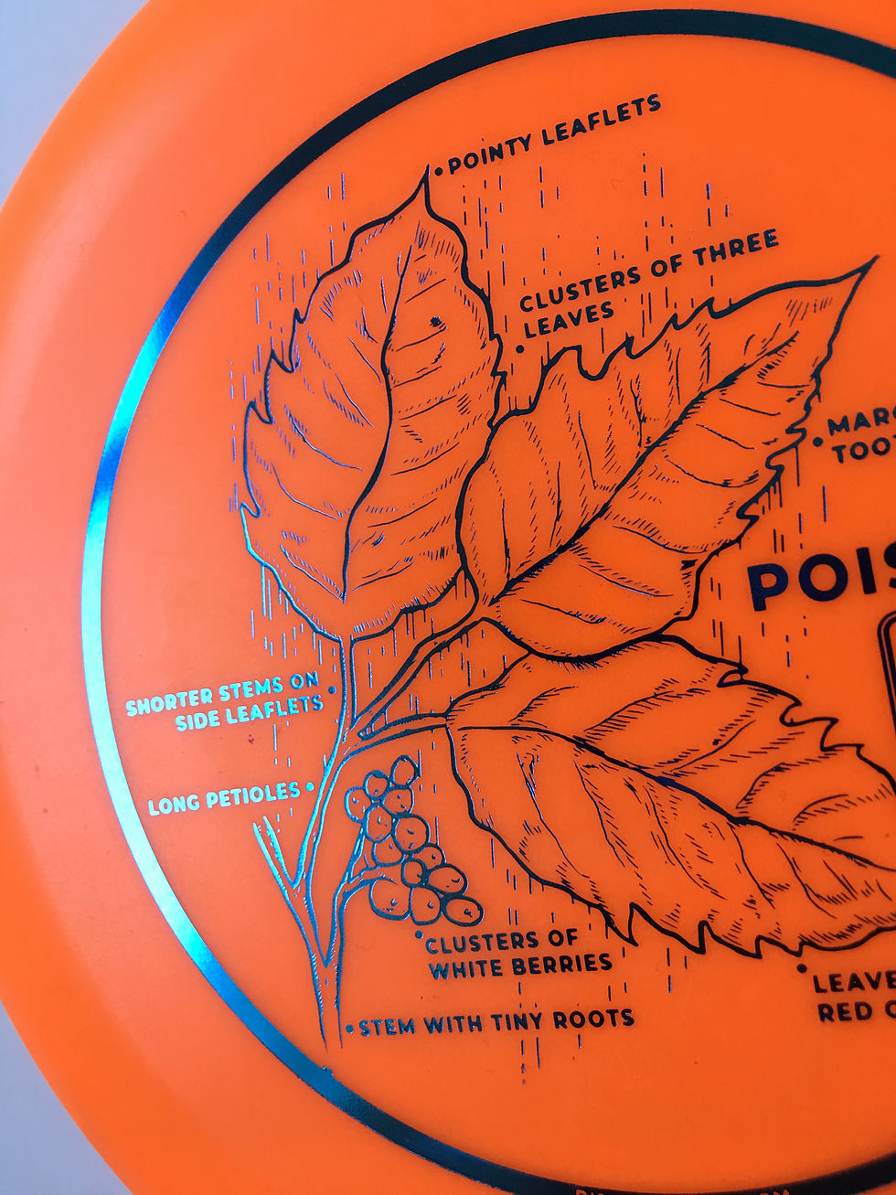 Thumbnail: Innova KC Pro Aviar Poison Ivy VARIOUS OPTIONS