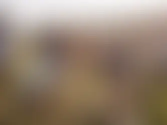 Organisation de team building en France : les formats qui marchent vraiment