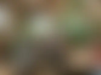 RSE et événementiel : organiser un séminaire éco-responsable sans sacrifier l’effet wow