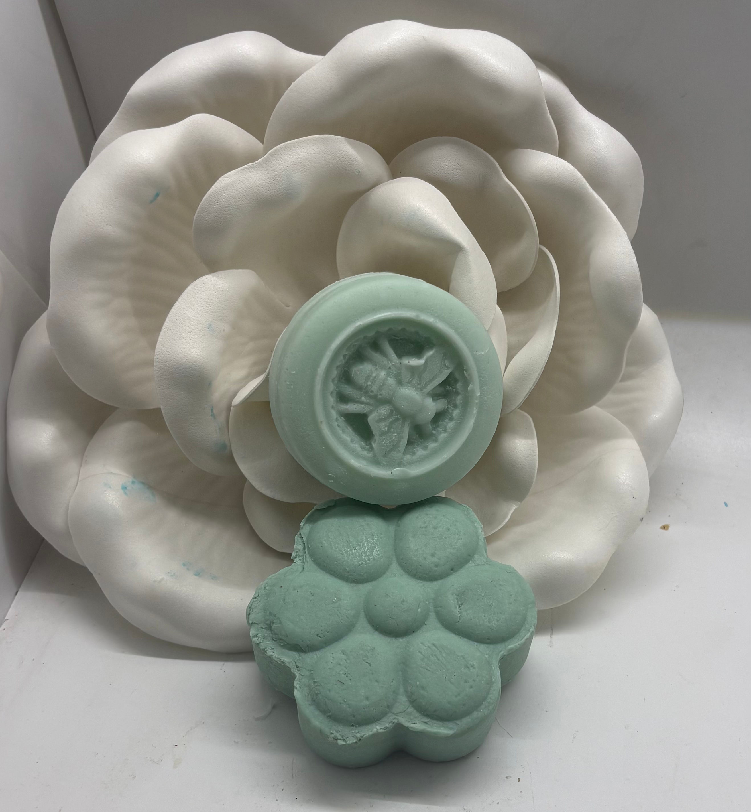 Shampoo/Conditioner Set