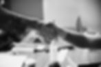 presentazione Aziendale_reportage_ Eng__Pagina_5_Immagine_0001.jpg