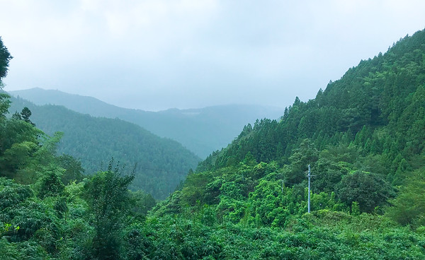 土佐山風景.jpg
