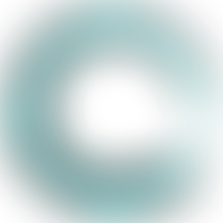 ¿POR QUÉ EL AHORA?