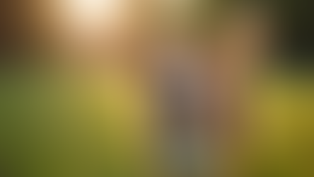 Compromisso com o Bem-Estar dos Pets