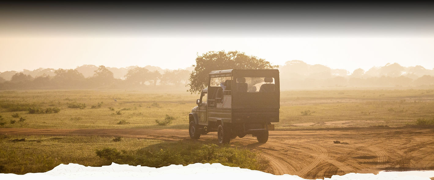 Untitled design (8).jpg