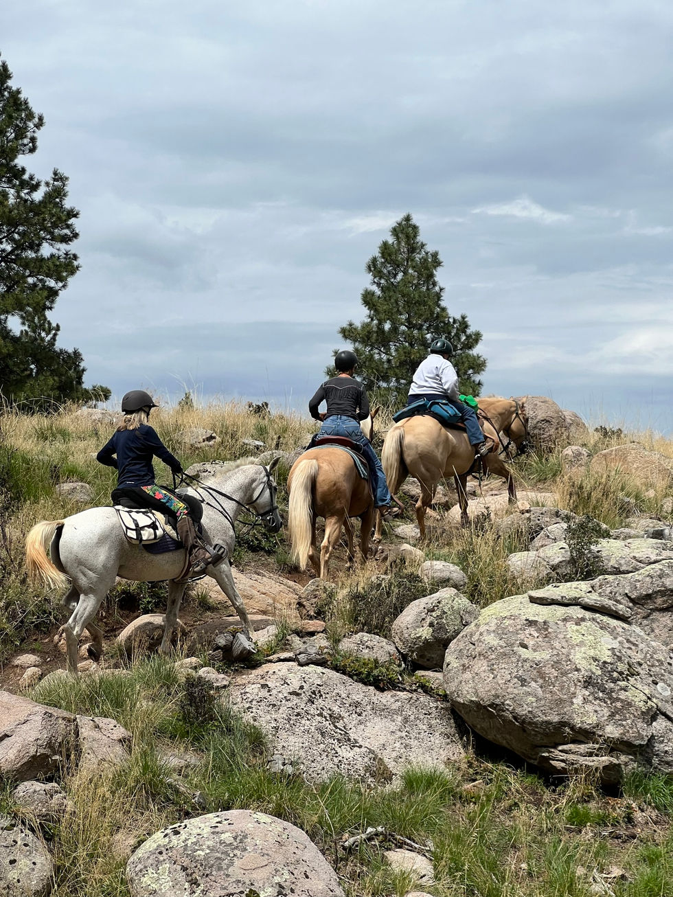 Equestrian Trail