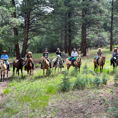 Hotels-Models14015 2_edit_new 2.jpg