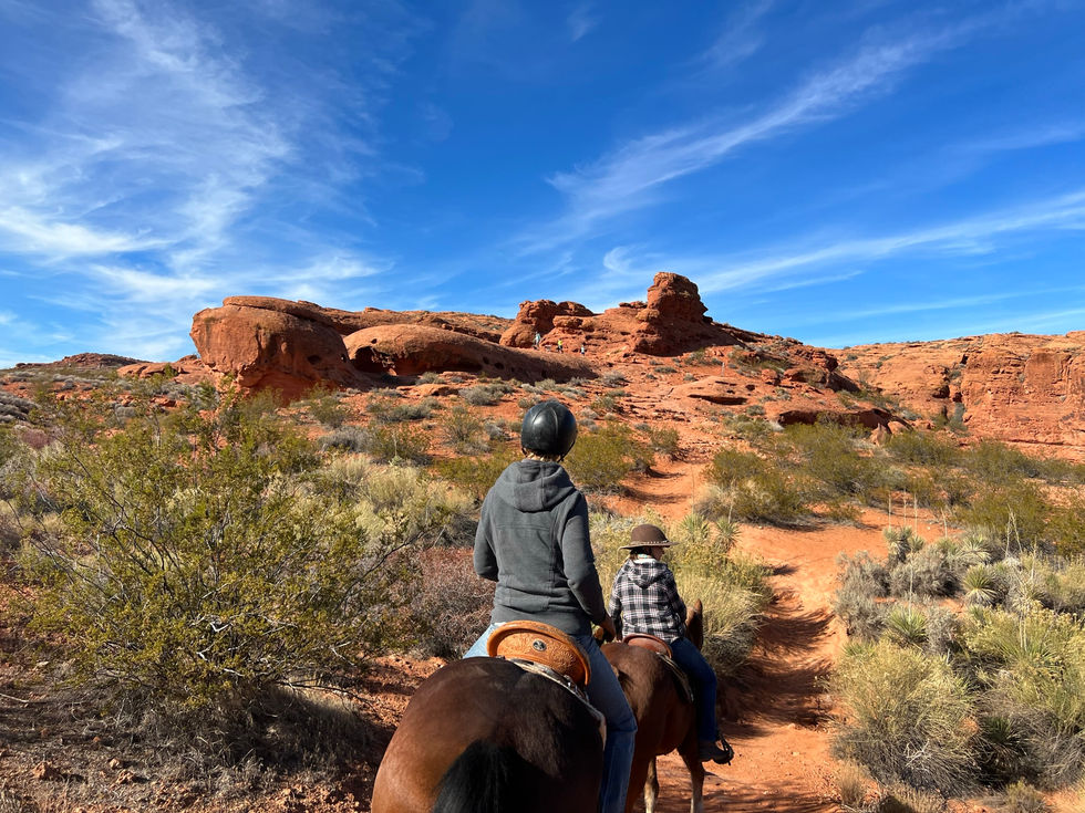 Turtle Rock
