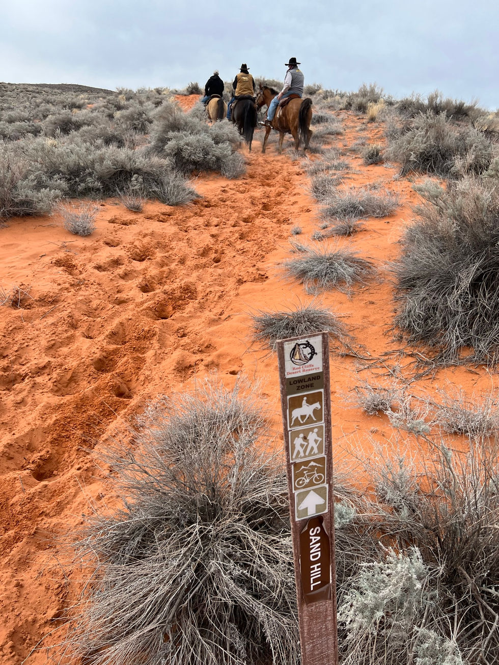 Sand Hill Trail (connector to Elephant Arch Trail)