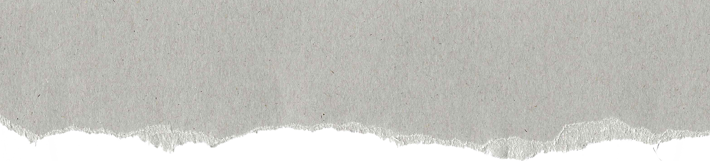 Header v2_edited.png