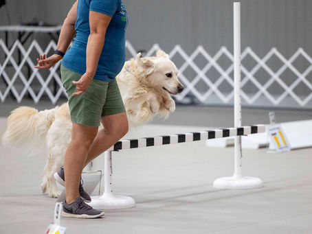 Rally Excellent For Remi Retrieve