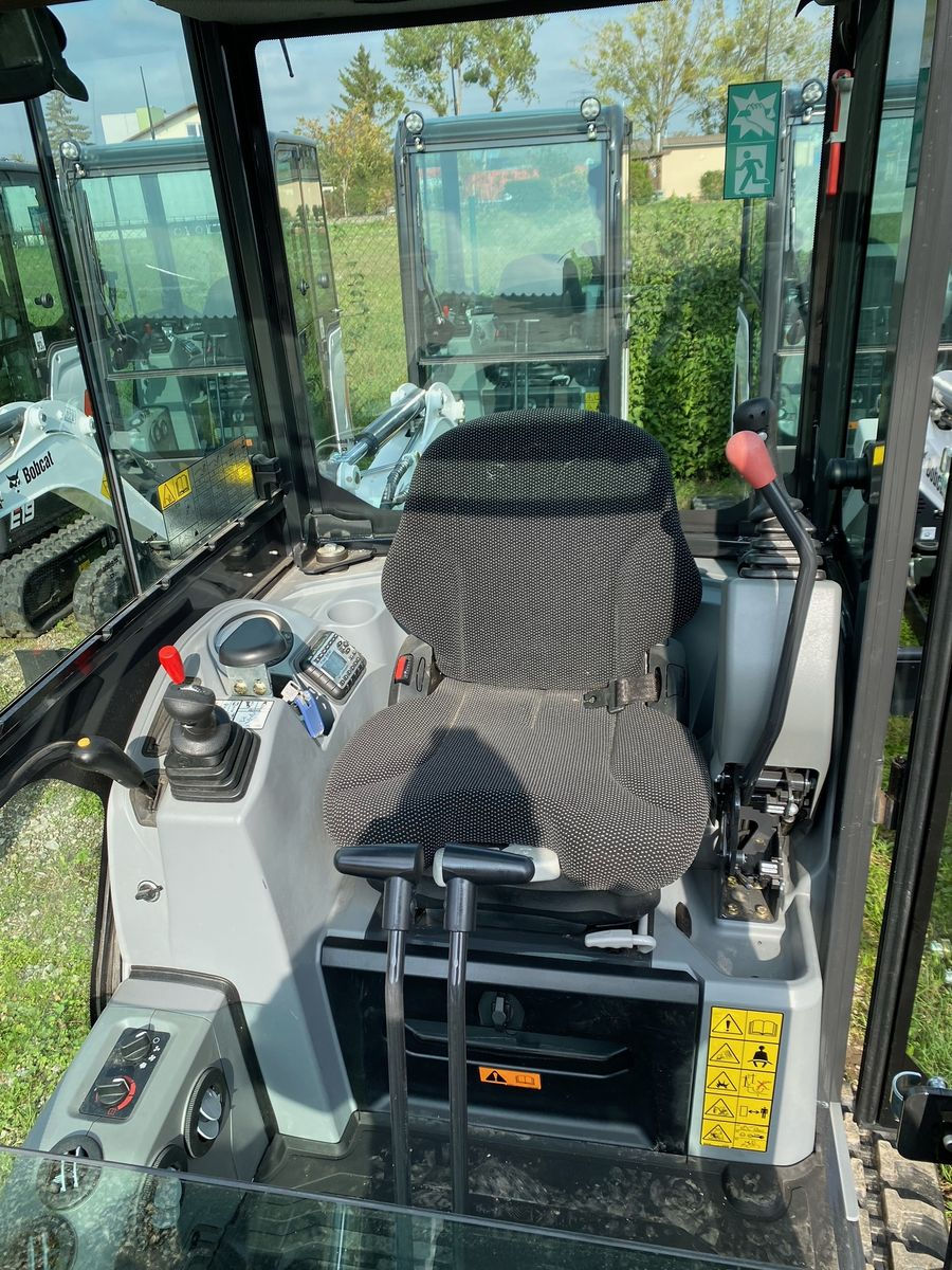 Miniature : Bobcat E19