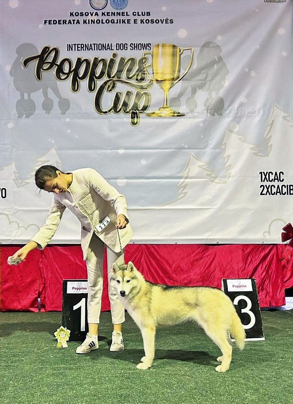 KENDARCTIC @ THE INTERNATIONAL SHOWS 2023