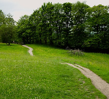 DSC03562.jpg