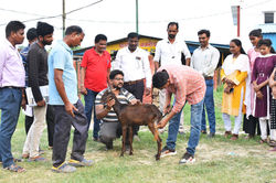 WhatsApp Image 2023-08-02 at 1.57.32 PM