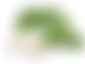 株売れる