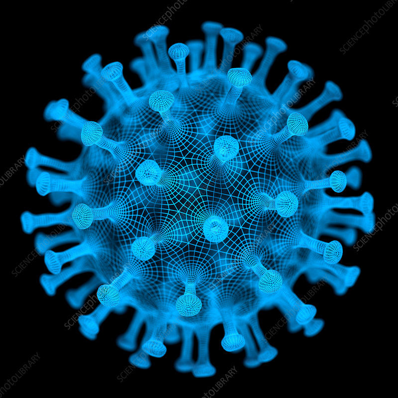 ree
