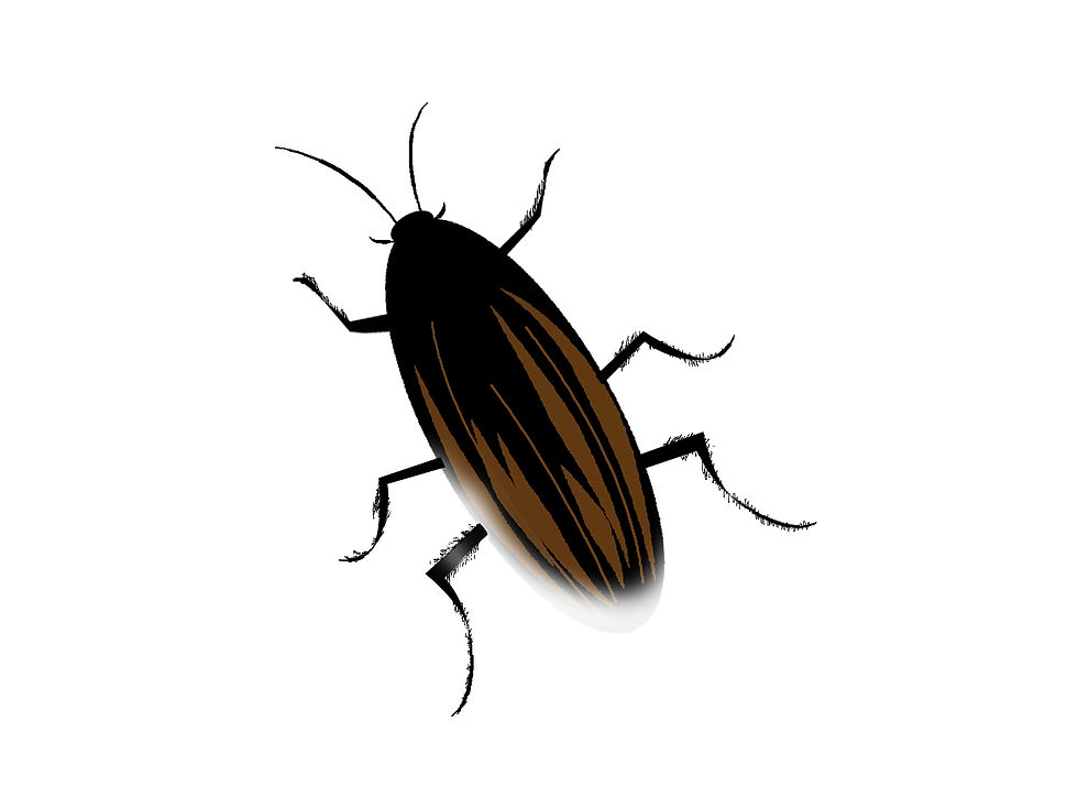 ree