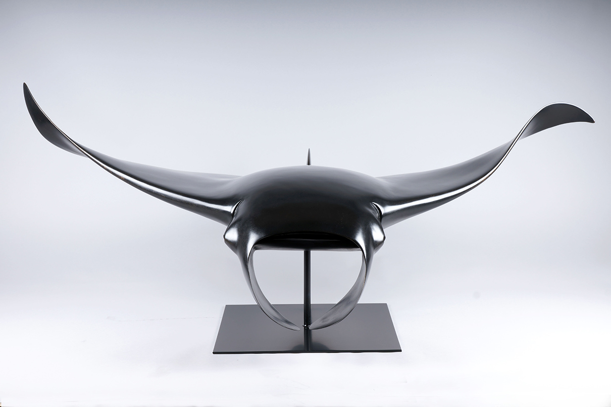Manta Ray by Umberto Nuzzo 50 ex main image 1