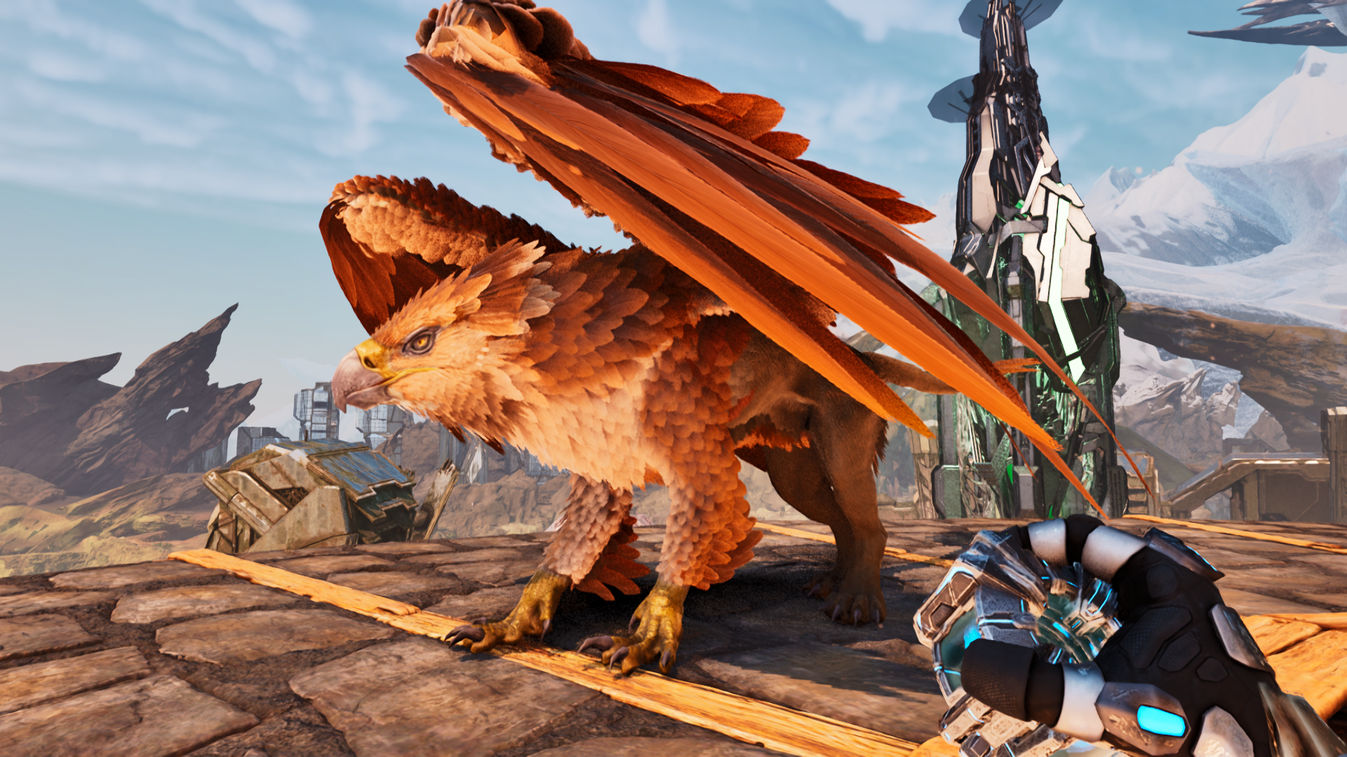 Griffin 211 Level Adult Male (Cross Pve Warlord)