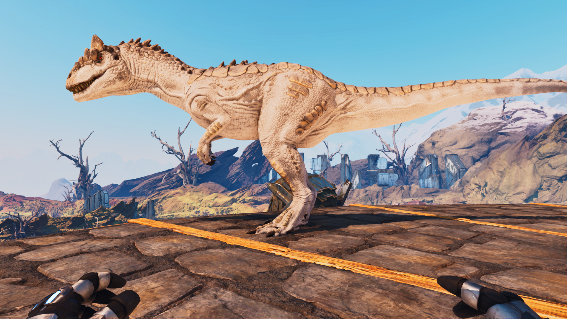 Allosaurus 14K HP  1625% MD Albino Color Adult (Cross Pve Warlord)