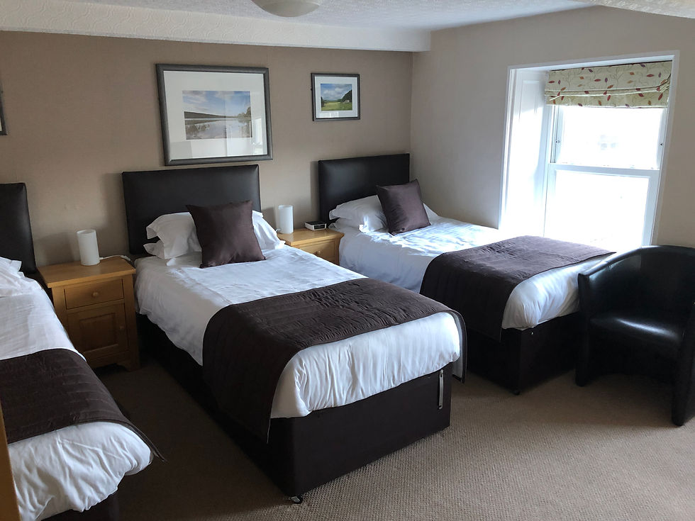 Twin or Triple bedded room