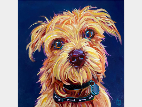 Paint Your Pet