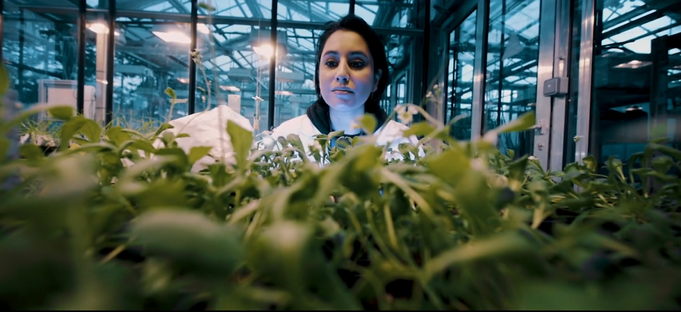 Mayuri Sadoine, explorer le vivant à l’échelle invisible