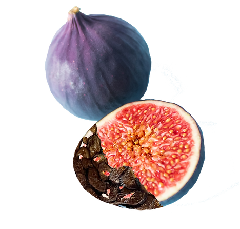 figgrowingold.png