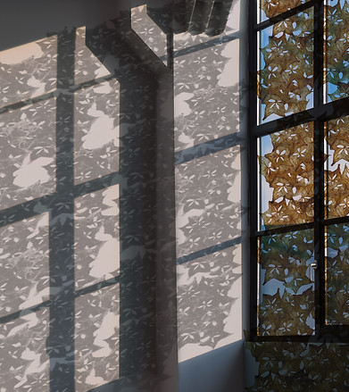 window treatment starfruit.jpg