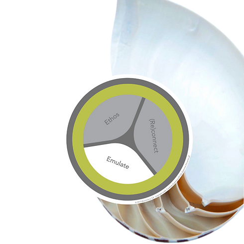 species.png
