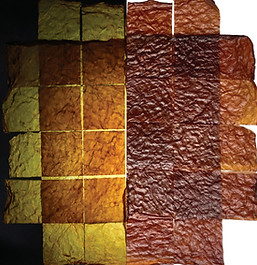 scoby_website2.jpg