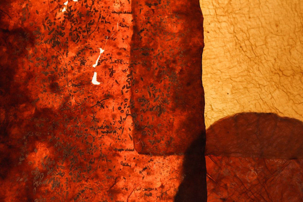 WORK Erin Hull Design