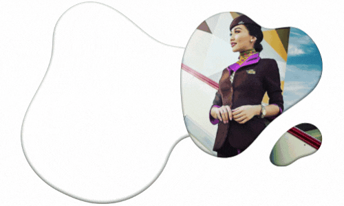 Cabin crew goal (1).gif