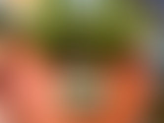 営業予定と入荷情報