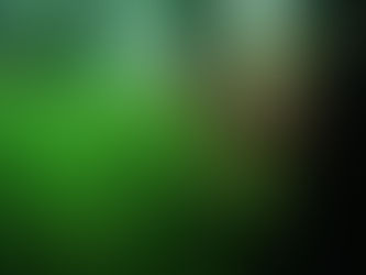 明日は休みです。