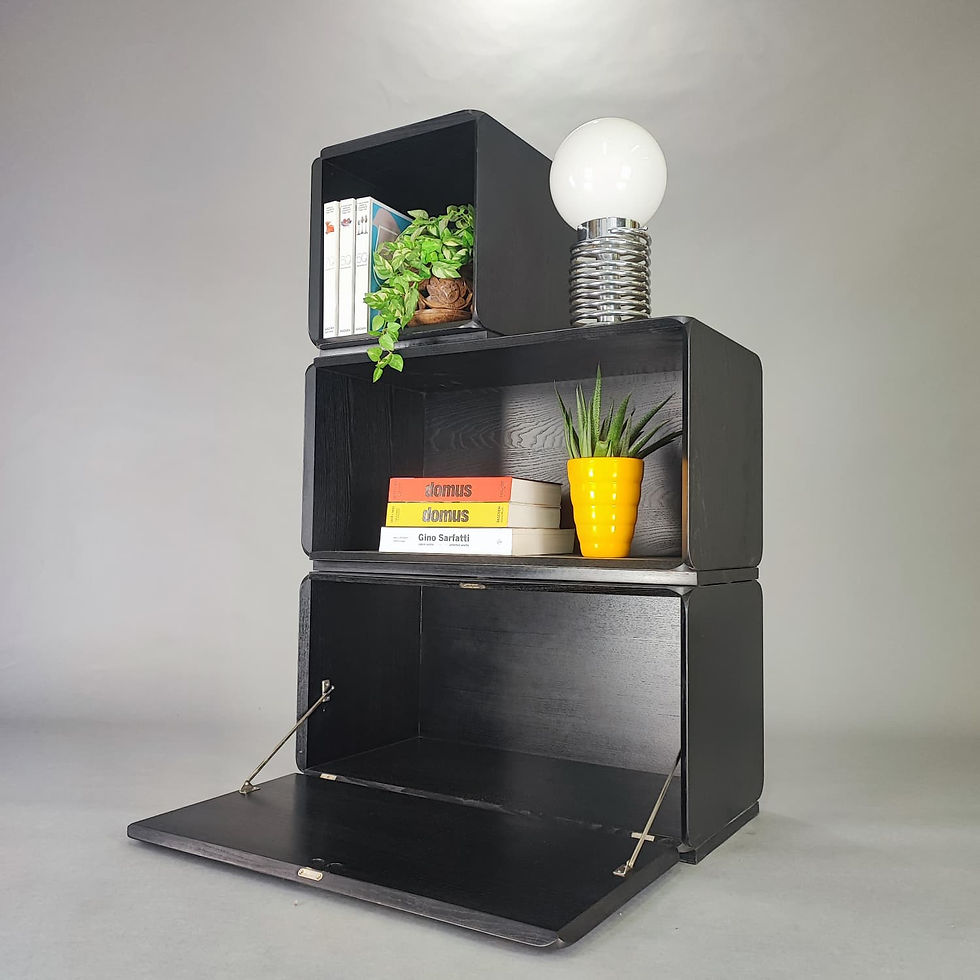 Miniatura: Sideboard- mobile componibile Samara di Derk Jan de Vries design '70